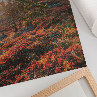 Kunstdruck leinwand Majestätische Bäume, warme Farben, friedliche Atmosphäre