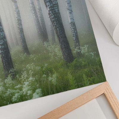 Wandposter Birken im Nebel, weiße Rinde, grünes Gras