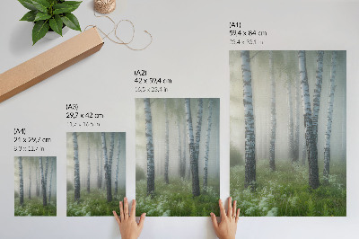 Wandposter Birken im Nebel, weiße Rinde, grünes Gras