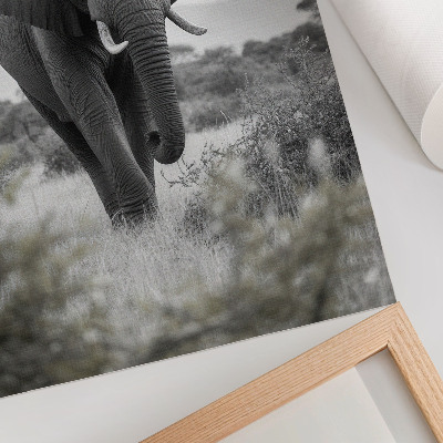 Poster Ein großer Elefant vor natürlichem Hintergrund