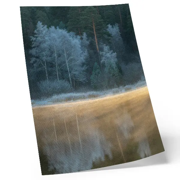 Kunstdruck auf Leinwand ein stiller Wald über der Wasseroberfläche mit mystischer Aura
