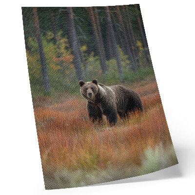 Kunstdruck leinwand Bären im Herbstwald Natürlichkeit und Ruhe