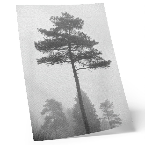 Wandposter Schwarzer und weißer Baum im Nebel, einzigartige Stille