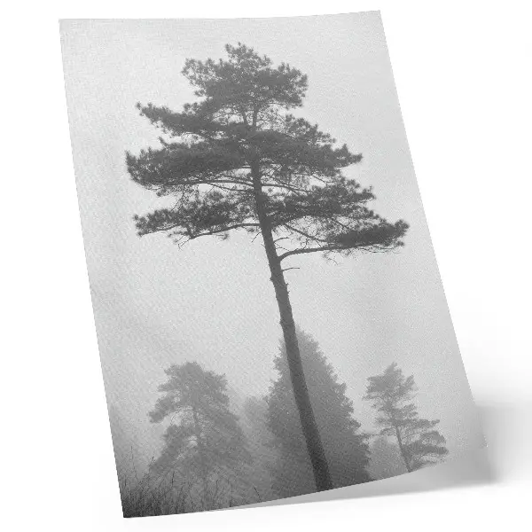 Wandposter schwarzer und weißer Baum im Nebel mit einer Stimmung von einzigartiger Stille