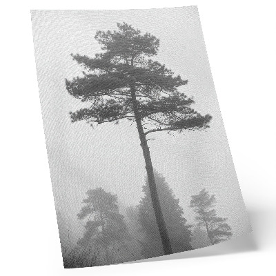 Wandposter Schwarzer und weißer Baum im Nebel, einzigartige Stille