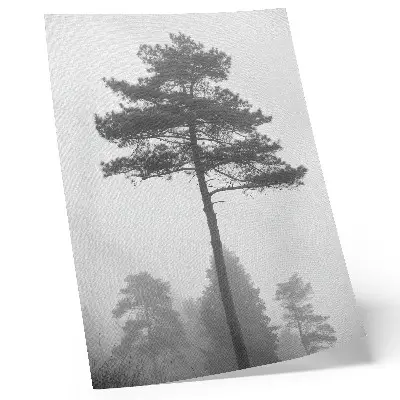 Wandposter schwarzer und weißer Baum im Nebel mit einer Stimmung von einzigartiger Stille
