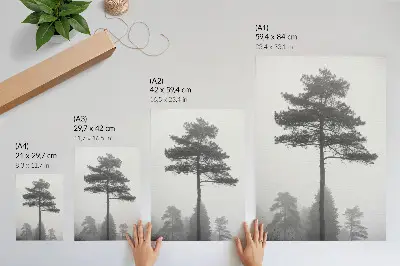 Wandposter schwarzer und weißer Baum im Nebel mit einer Stimmung von einzigartiger Stille