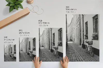 Wandposter mit Motiv von Straße, Mietshäusern, Blumen und Fahrrad in Schwarzweiß