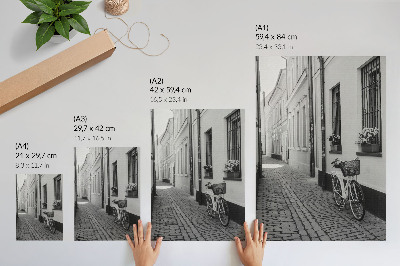 Wandposter Straße, Mietshäuser, Blumen, Fahrrad, Schwarzweiß