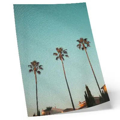 Wandposter mit Palmen vor blauem Hintergrund für eine exotische Atmosphäre