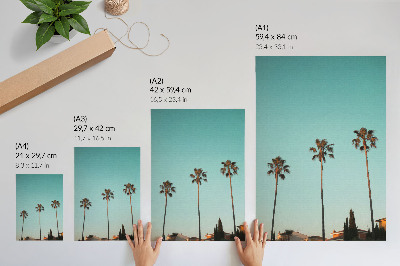 Wandposter Palmen vor blauem Hintergrund erzeugen eine exotische Atmosphäre.