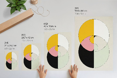 Kunstdruck leinwand Geometrische Kreise, kontrastierende Farben, minimalistischer Stil