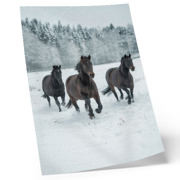 Poster Schwarze Pferde in Bewegung vor schneebedecktem Hintergrund