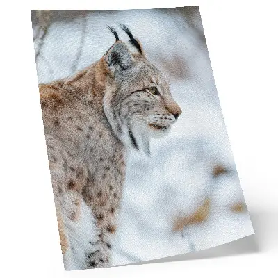 Leinwand Kunstdruck Rysy im Winter mit wunderschöner Natur in harmonischen Farben