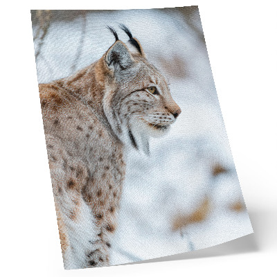 Kunstdruck leinwand Rysy im Winter, wunderschöne Natur, natürliche Farben, Harmonie