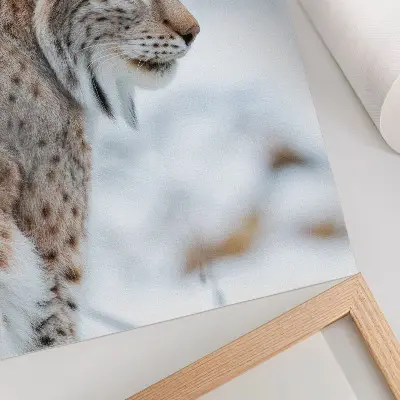 Leinwand Kunstdruck Rysy im Winter mit wunderschöner Natur in harmonischen Farben