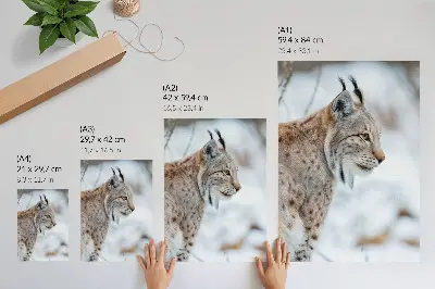 Leinwand Kunstdruck Rysy im Winter mit wunderschöner Natur in harmonischen Farben