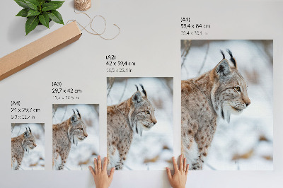 Kunstdruck leinwand Rysy im Winter, wunderschöne Natur, natürliche Farben, Harmonie