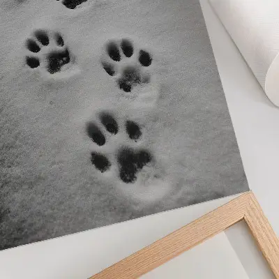 Wandposter Pfotenabdrücke im weißen Schnee als geheimnisvolle Wanddekoration