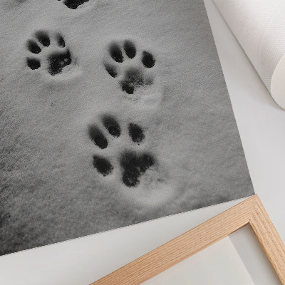 Wandposter Pfotenabdrücke im weißen Schnee – ein Hauch von Geheimnis