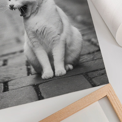 Poster Eine entzückende Katze auf einem Kopfsteinpflasterweg in Schwarz-Weiß.