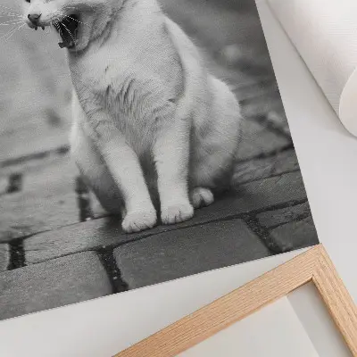 Poster entzückende Katze auf einem Kopfsteinpflasterweg in Schwarz-Weiß
