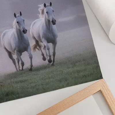 Poster Weiße Pferde im Morgennebel des Weltraums in der Natur