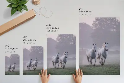 Poster Weiße Pferde im Morgennebel des Weltraums in der Natur