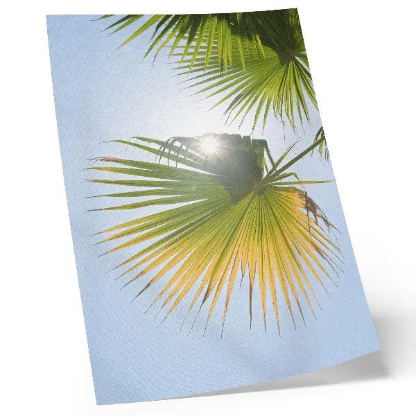 Wandposter Palmenblätter vor blauem Hintergrund mit Sonnenlicht