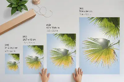 Wandposter Palmenblätter vor blauem Hintergrund mit Sonnenlicht