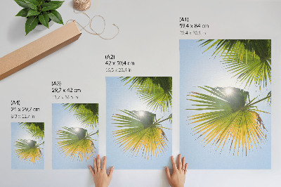 Wandposter Palmenblätter vor blauem Hintergrund Sonnenlicht