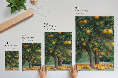 Kunstdruck leinwand Saftige Orangen an einem Baum in einem grünen Obstgarten