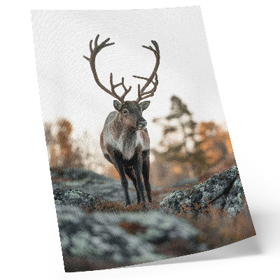 Wandposter Hirsche vor einer Kulisse aus Felsen und Bäumen in einer Herbstlandschaft