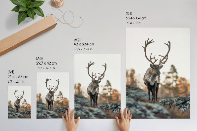 Wandposter Hirsche vor einer Kulisse aus Felsen und Bäumen in einer Herbstlandschaft