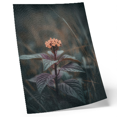 Poster Eine Pflanze mit einer farbenfrohen Blüte vor grünem Hintergrund