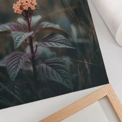 Poster eine Pflanze mit farbenfroher Blüte vor grünem Hintergrund