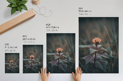 Poster Eine Pflanze mit einer farbenfrohen Blüte vor grünem Hintergrund