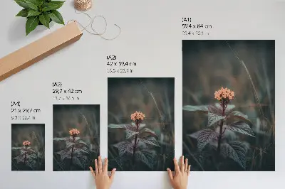 Poster eine Pflanze mit farbenfroher Blüte vor grünem Hintergrund
