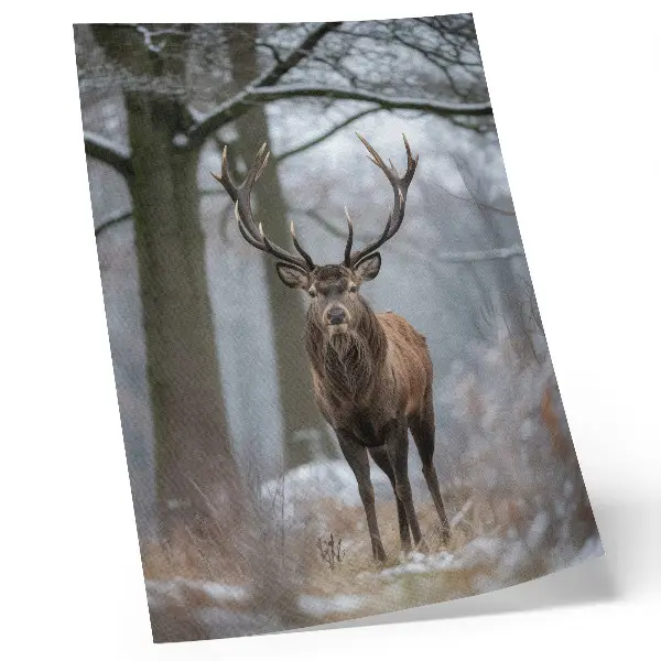 Kunstdruck auf Leinwand Hirsche im Winter in einem majestätischen Wald in Grautönen