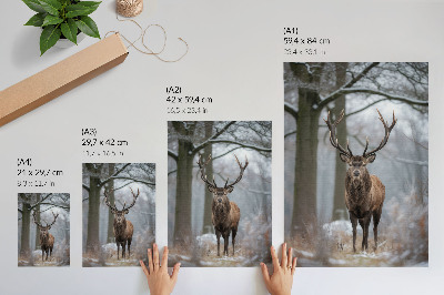 Kunstdruck leinwand Hirsche im Winter, majestätischer Wald in Grautönen