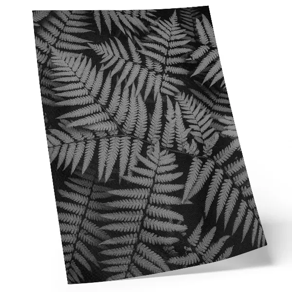 Kunstdruck auf Leinwand sinnlicher Farn in Schwarz-Weiß mit schöner Symmetrie und Eleganz