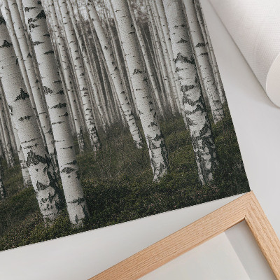 Poster Birkenwald in Schwarz-Weiß-Tönen