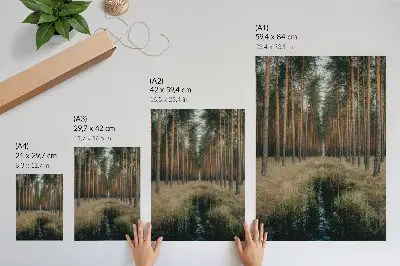 Poster einfache Waldlandschaft mit hohem Wald in symmetrischer Anordnung