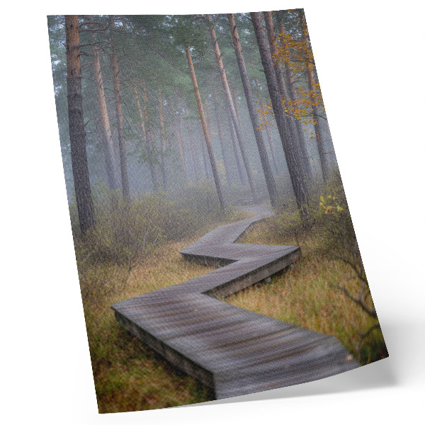 Kunstdruck leinwand Holzsteg zwischen Bäumen im Nebel