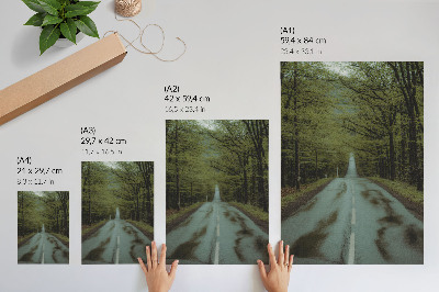Poster Waldweg, friedlich, grün, Abenteuer, geheimnisvoll