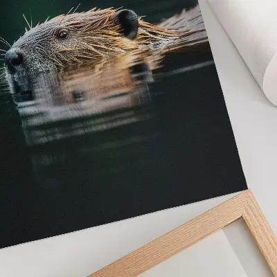 Kunstdruck auf Leinwand Biber im Wasser in friedlicher Wildnis