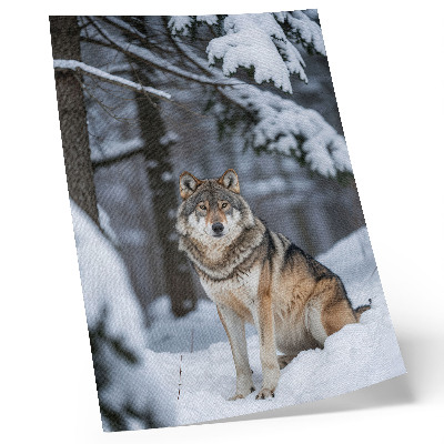Poster Wolf im Winterwald, Naturstille, Eleganz
