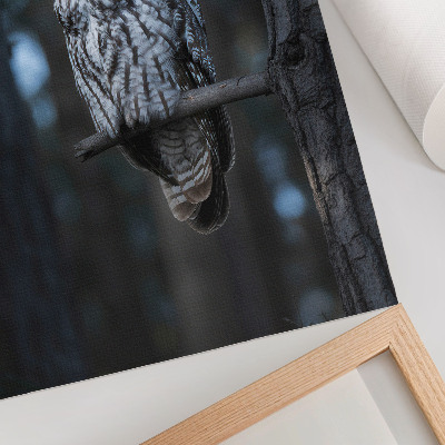 Wandposter Dunkle Waldeule im Rampenlicht