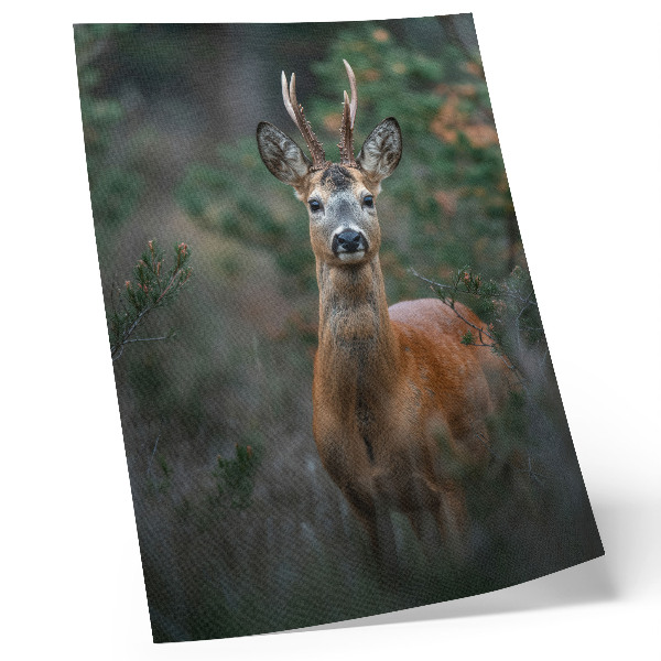 Wandposter Hirsche im Wald, grüner Hintergrund, friedliche Natur
