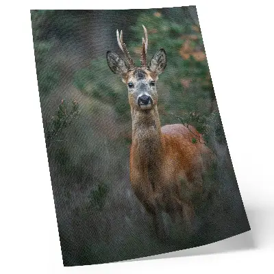 Wandposter Hirsche im Wald vor einem grünen Hintergrund in friedlicher Natur
